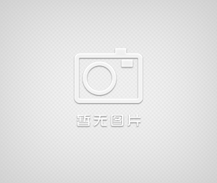 連式輸送機 拉鏈機 FU刮板輸送機 重諾機械 質(zhì)量保證